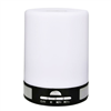 Touch Lamp Portable Speaker WS-1607 White